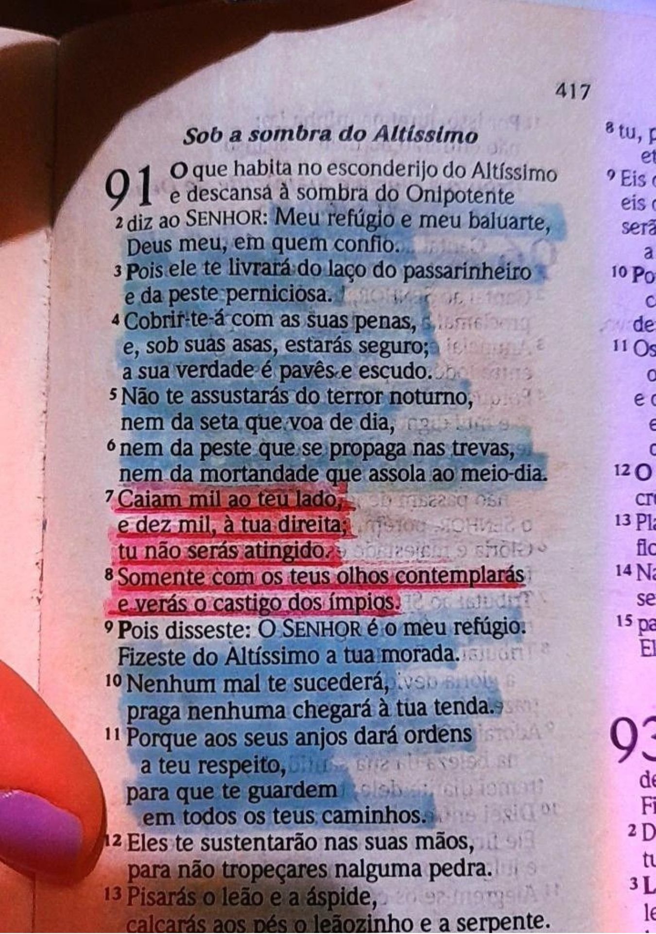 Design sem nome (2)